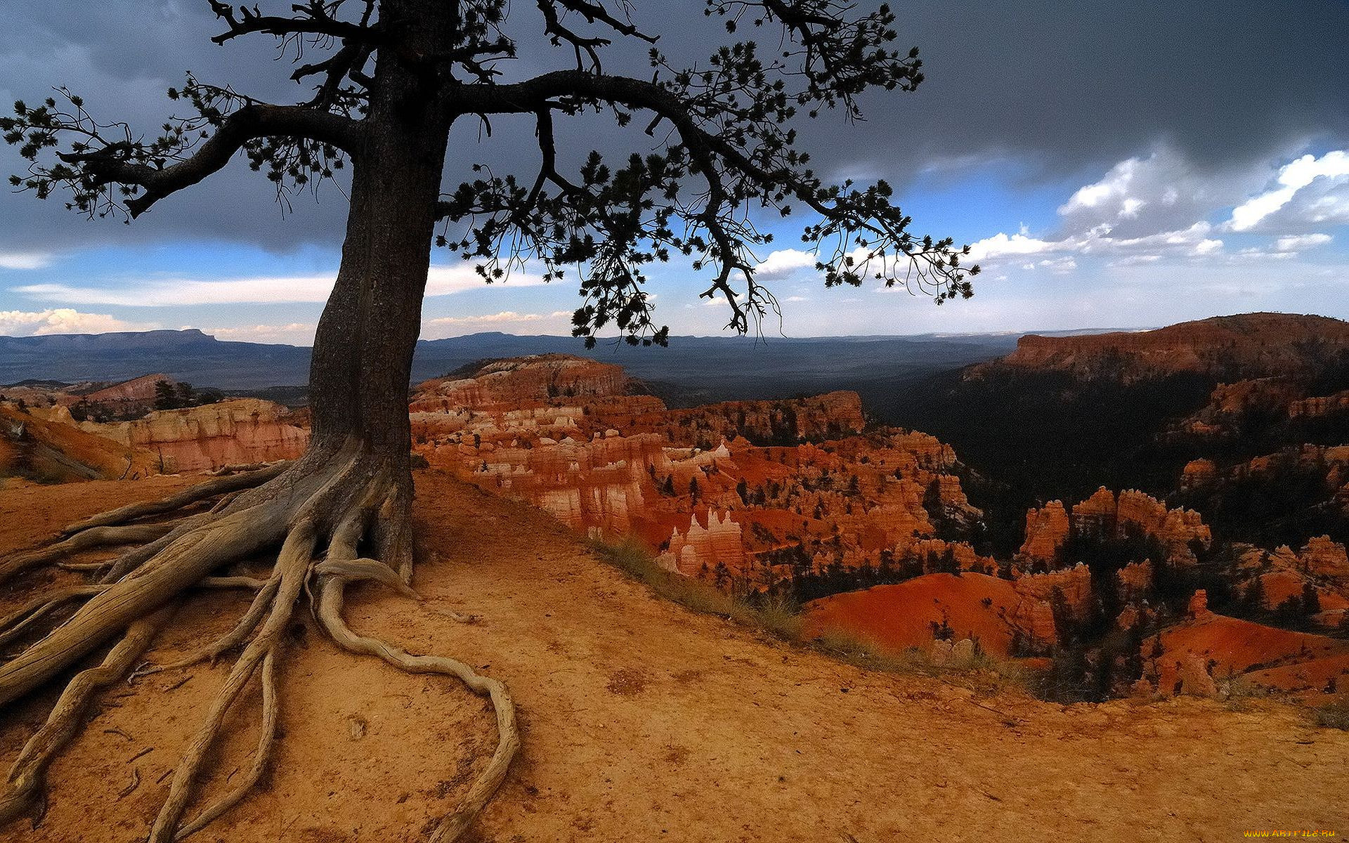 bryce, canyon, utah, , 